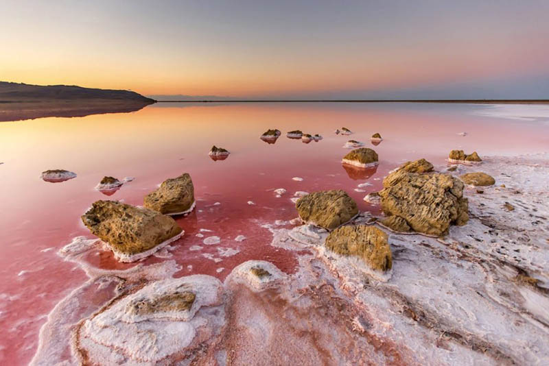 Розовое озеро в Крыму