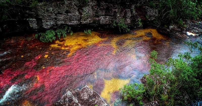 Главная особенность реки Каньо-Кристалес заключается в том, что она разноцветная