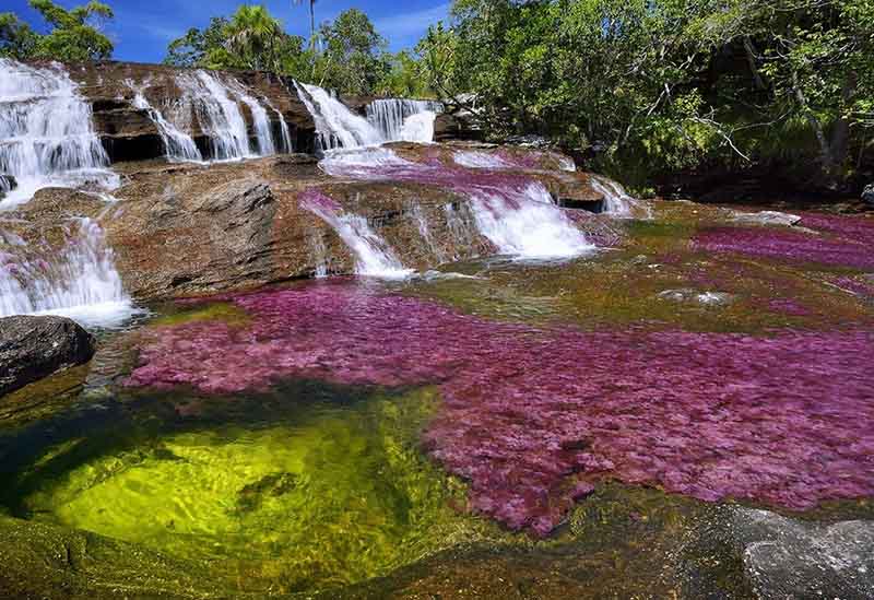 Каньо-Кристалес протекает на территории Колумбии в Национальном заповеднике.