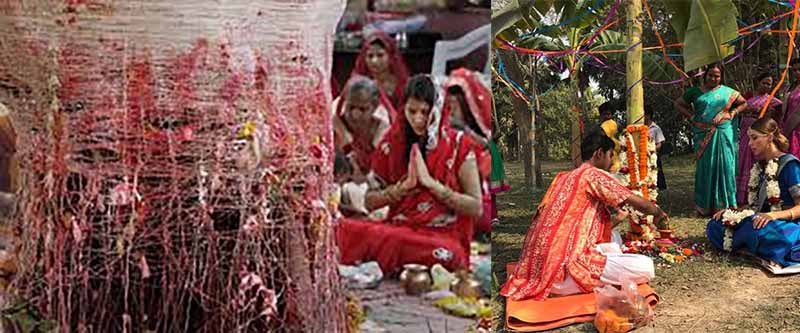 Почему в Индии мужчинам приходится жениться на деревьях Pochemu-v-indii-muzhchinam-prihoditsya-zhenitsya-na-derevyah-3