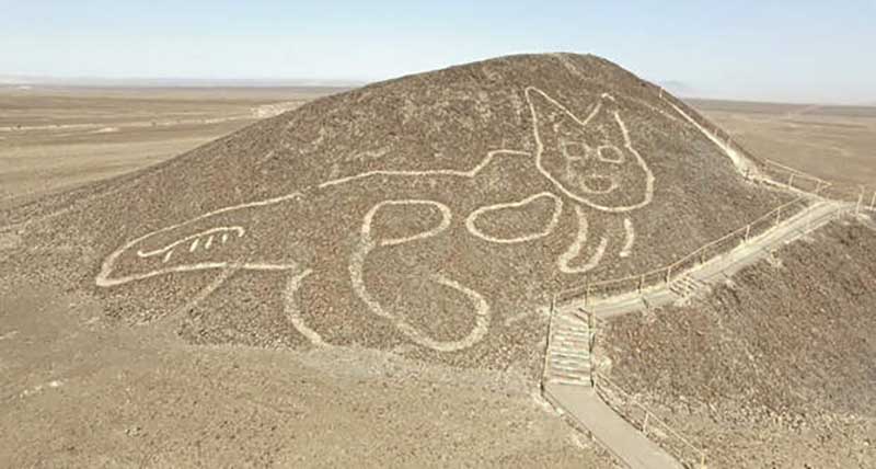 Версии того, кто создал загадочный геоглиф в виде кошки в Перу