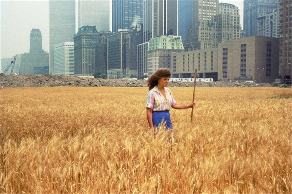 Пшеница в центре Манхэттена