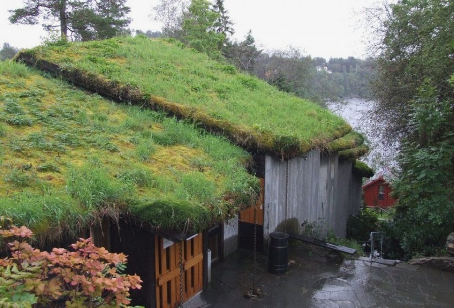 Трава на крыше дома в Скандинавии