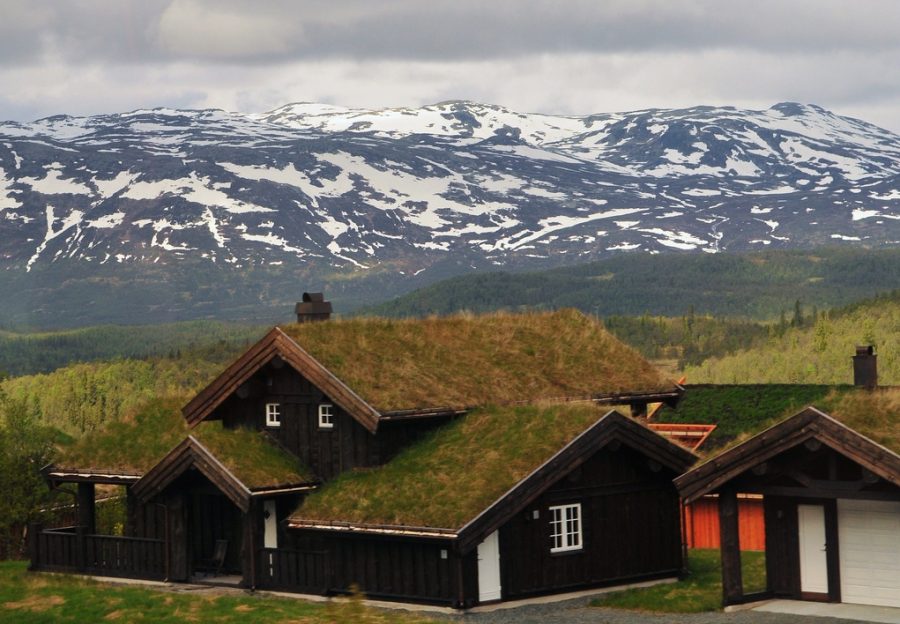 Трава на крыше дома в Скандинавии