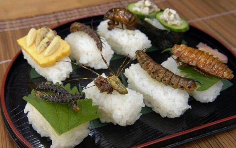 Экзотические блюда в Японии