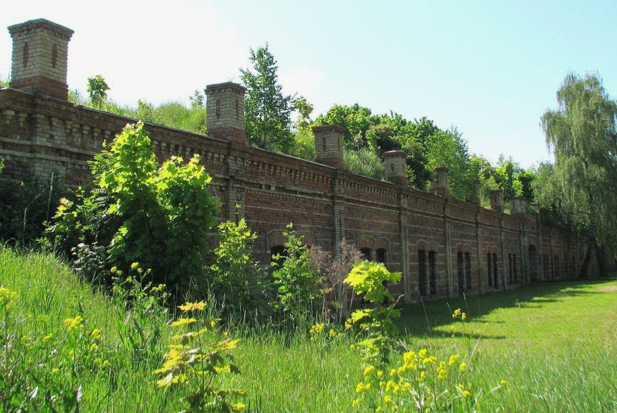 Даугавгривская крепость