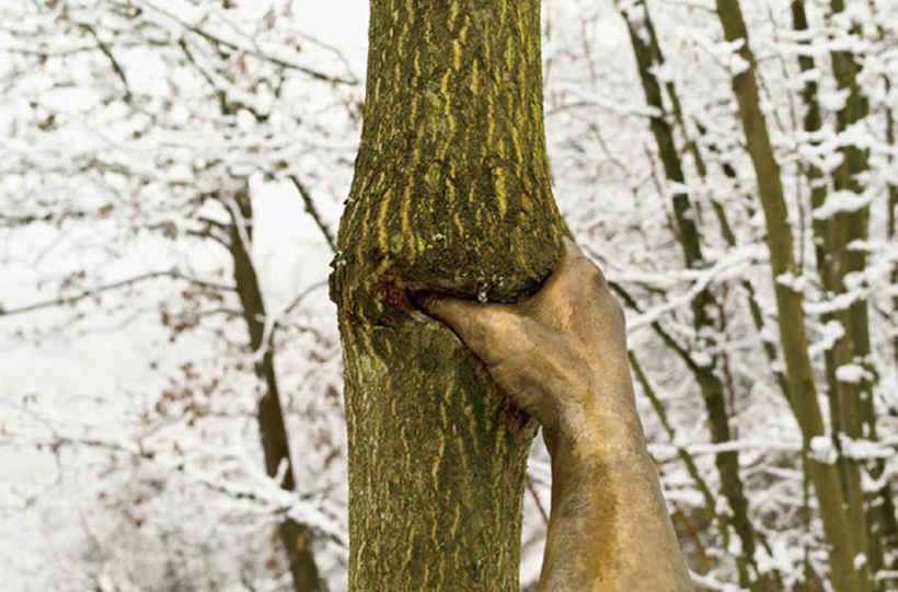 Бронзовая рука сжимающая дерево