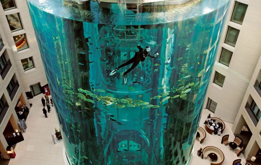 Лифт а аквариуме