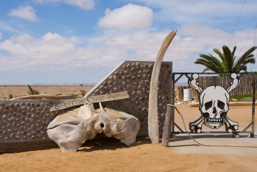 Берег Скелетов в Намибии