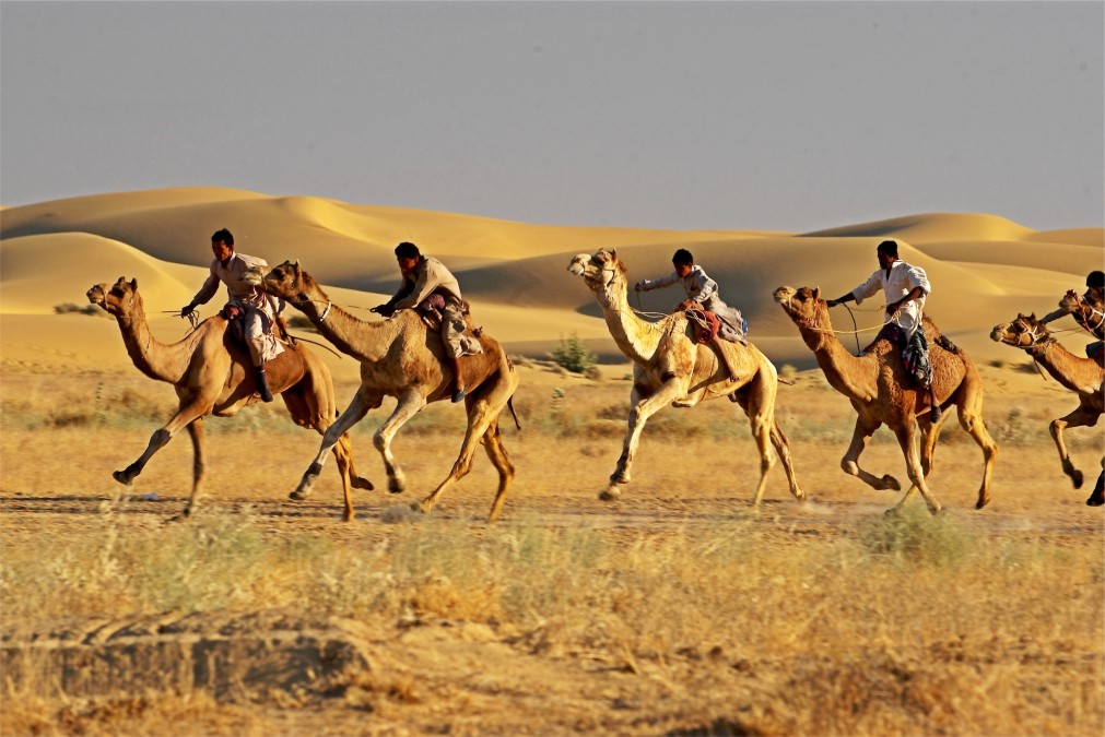 На верблюдах в пустыне