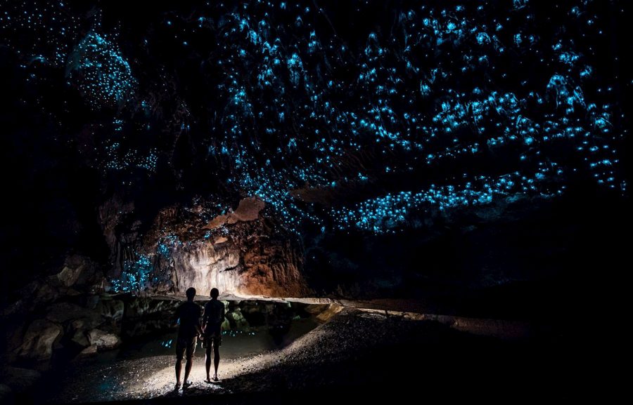 Пещера Вайтомо в Новой Зеландии