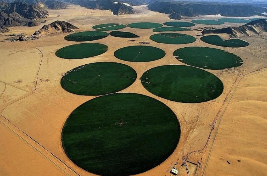 Проект по добыче воды в пустыне