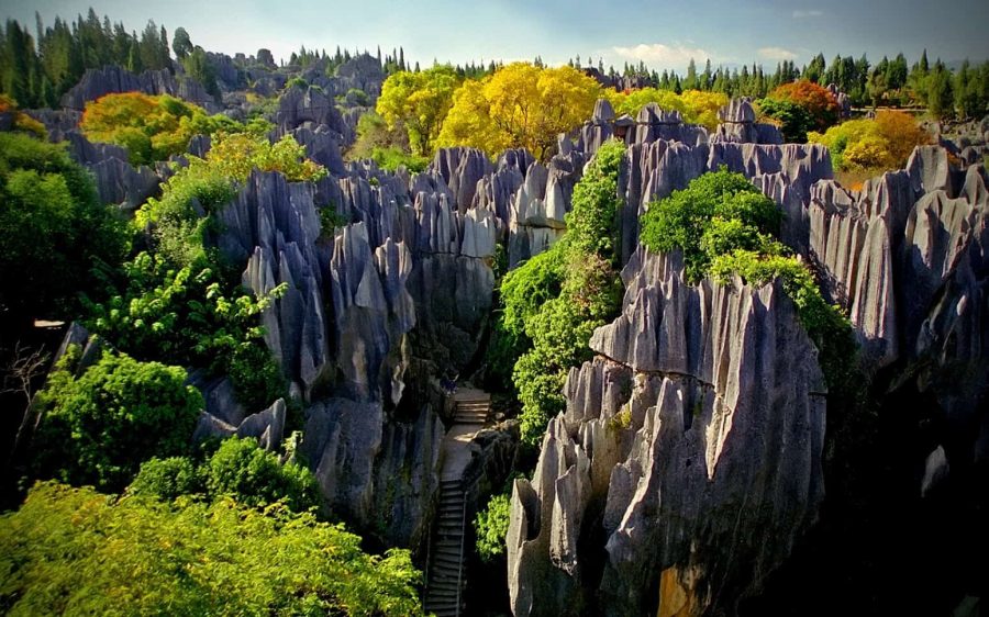 Шилинь каменный лес в Китае
