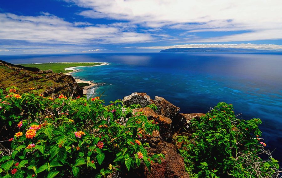 Остров Ниихау на Гавайях